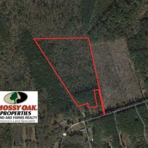 Photo of 21 Acres of Tall Timber in the Countryside of Mathews County Virginia!