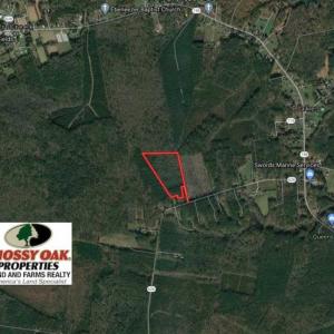 Photo of 21 Acres of Tall Timber in the Countryside of Mathews County Virginia!