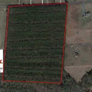 Photo of UNDER CONTRACT!!  20.88  acres of Hunting / Homesite Land for Sale in Accomack County VA