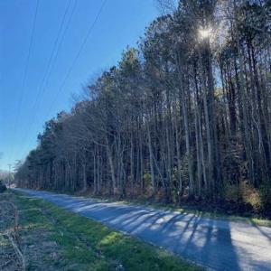 Photo of UNDER CONTRACT!!  20.88  acres of Hunting / Homesite Land for Sale in Accomack County VA