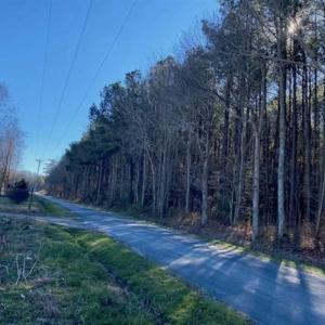 Photo of UNDER CONTRACT!!  20.88  acres of Hunting / Homesite Land for Sale in Accomack County VA