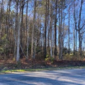 Photo of UNDER CONTRACT!!  20.88  acres of Hunting / Homesite Land for Sale in Accomack County VA