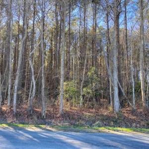 Photo of UNDER CONTRACT!!  20.88  acres of Hunting / Homesite Land for Sale in Accomack County VA