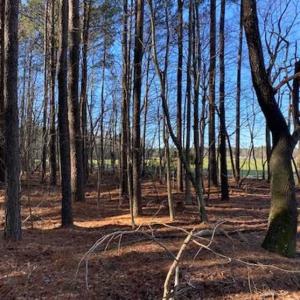 Photo of UNDER CONTRACT!!  20.88  acres of Hunting / Homesite Land for Sale in Accomack County VA