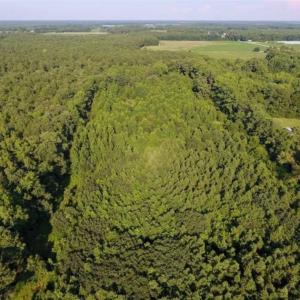 Photo of UNDER CONTRACT!!  13 Acres of Hunting Land For Sale in Edgecombe County NC!