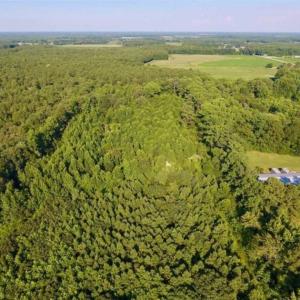 Photo of UNDER CONTRACT!!  13 Acres of Hunting Land For Sale in Edgecombe County NC!