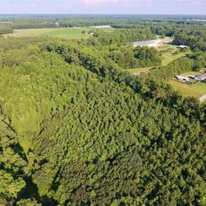 Photo of UNDER CONTRACT!!  13 Acres of Hunting Land For Sale in Edgecombe County NC!