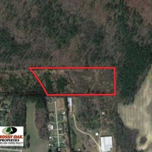 Photo of UNDER CONTRACT!!  13 Acres of Hunting Land For Sale in Edgecombe County NC!