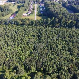 Photo of UNDER CONTRACT!!  13 Acres of Hunting Land For Sale in Edgecombe County NC!