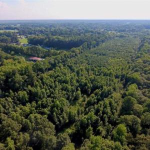 Photo of UNDER CONTRACT!!  13 Acres of Hunting Land For Sale in Edgecombe County NC!
