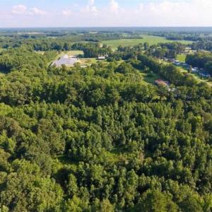 Photo of UNDER CONTRACT!!  13 Acres of Hunting Land For Sale in Edgecombe County NC!