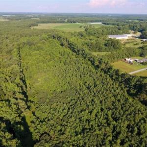 Photo of UNDER CONTRACT!!  13 Acres of Hunting Land For Sale in Edgecombe County NC!