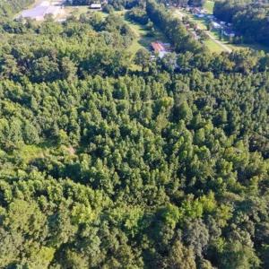 Photo of UNDER CONTRACT!!  13 Acres of Hunting Land For Sale in Edgecombe County NC!