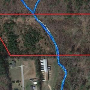 Photo of UNDER CONTRACT!!  13 Acres of Hunting Land For Sale in Edgecombe County NC!