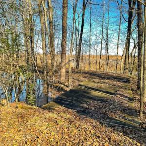 Photo of 7.18 acres Home with Pond & Kennel For Sale in Person County NC!