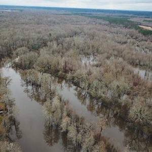 Photo of UNDER CONTRACT!!  42 Acres with 2,000 feet of River Frontage in Isle of Wight County Virginia!