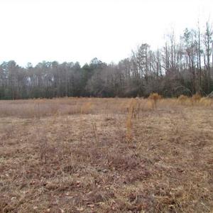 Photo of UNDER CONTRACT!!  42 Acres with 2,000 feet of River Frontage in Isle of Wight County Virginia!