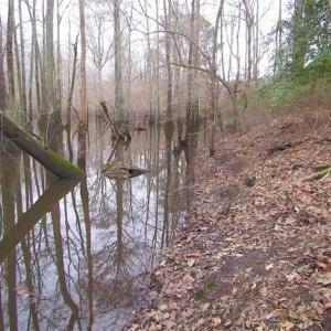 Photo of UNDER CONTRACT!!  42 Acres with 2,000 feet of River Frontage in Isle of Wight County Virginia!