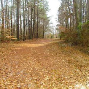 Photo of UNDER CONTRACT!!  42 Acres with 2,000 feet of River Frontage in Isle of Wight County Virginia!