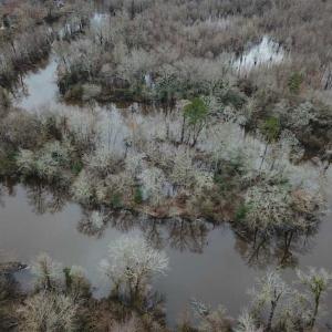 Photo of UNDER CONTRACT!!  42 Acres with 2,000 feet of River Frontage in Isle of Wight County Virginia!