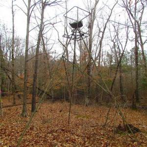 Photo of UNDER CONTRACT!!  42 Acres with 2,000 feet of River Frontage in Isle of Wight County Virginia!