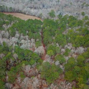 Photo of UNDER CONTRACT!!  42 Acres with 2,000 feet of River Frontage in Isle of Wight County Virginia!