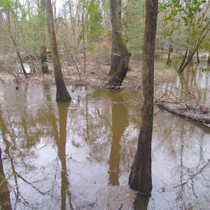 Photo of UNDER CONTRACT!!  42 Acres with 2,000 feet of River Frontage in Isle of Wight County Virginia!
