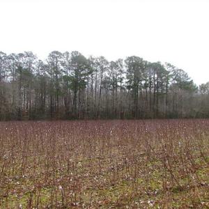 Photo of UNDER CONTRACT!!  42 Acres with 2,000 feet of River Frontage in Isle of Wight County Virginia!
