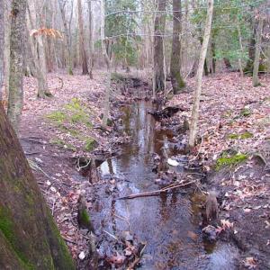 Photo of UNDER CONTRACT!!  42 Acres with 2,000 feet of River Frontage in Isle of Wight County Virginia!
