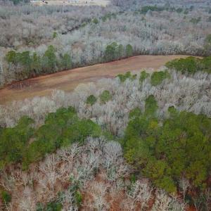 Photo of UNDER CONTRACT!!  42 Acres with 2,000 feet of River Frontage in Isle of Wight County Virginia!