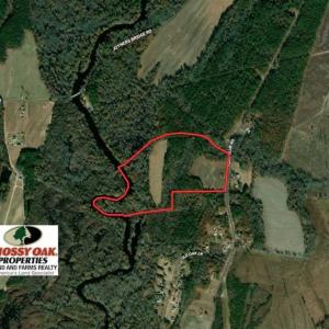 Photo of UNDER CONTRACT!!  42 Acres with 2,000 feet of River Frontage in Isle of Wight County Virginia!