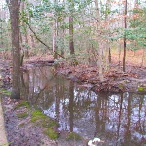 Photo of UNDER CONTRACT!!  42 Acres with 2,000 feet of River Frontage in Isle of Wight County Virginia!