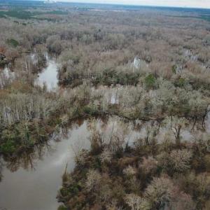 Photo of UNDER CONTRACT!!  42 Acres with 2,000 feet of River Frontage in Isle of Wight County Virginia!