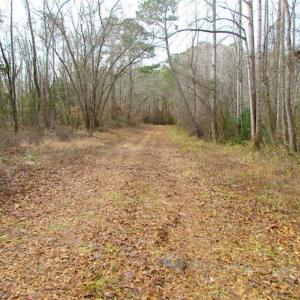 Photo of UNDER CONTRACT!!  42 Acres with 2,000 feet of River Frontage in Isle of Wight County Virginia!
