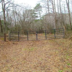 Photo of UNDER CONTRACT!!  42 Acres with 2,000 feet of River Frontage in Isle of Wight County Virginia!