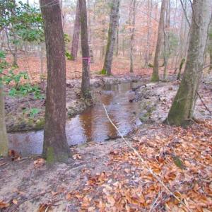 Photo of UNDER CONTRACT!!  42 Acres with 2,000 feet of River Frontage in Isle of Wight County Virginia!