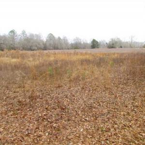Photo of UNDER CONTRACT!!  42 Acres with 2,000 feet of River Frontage in Isle of Wight County Virginia!