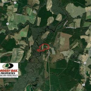 Photo of UNDER CONTRACT!!  42 Acres with 2,000 feet of River Frontage in Isle of Wight County Virginia!