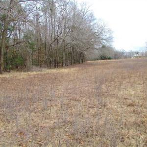 Photo of UNDER CONTRACT!!  42 Acres with 2,000 feet of River Frontage in Isle of Wight County Virginia!