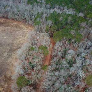 Photo of UNDER CONTRACT!!  42 Acres with 2,000 feet of River Frontage in Isle of Wight County Virginia!
