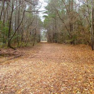 Photo of UNDER CONTRACT!!  42 Acres with 2,000 feet of River Frontage in Isle of Wight County Virginia!