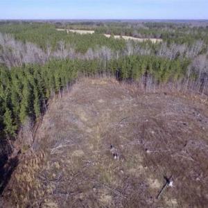 Photo of 65.92 Acres of Hunting and Recreational Land For Sale in Halifax County VA!