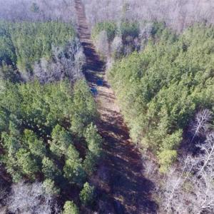 Photo of 65.92 Acres of Hunting and Recreational Land For Sale in Halifax County VA!