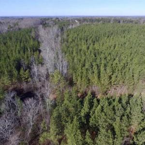 Photo of 65.92 Acres of Hunting and Recreational Land For Sale in Halifax County VA!