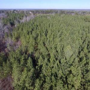 Photo of 65.92 Acres of Hunting and Recreational Land For Sale in Halifax County VA!