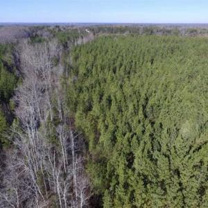 Photo of 65.92 Acres of Hunting and Recreational Land For Sale in Halifax County VA!