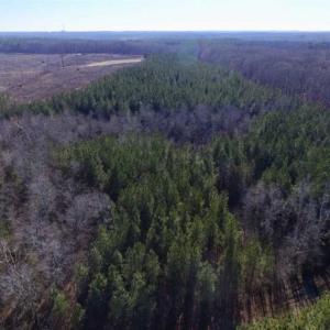 Photo of 65.92 Acres of Hunting and Recreational Land For Sale in Halifax County VA!