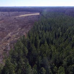 Photo of 65.92 Acres of Hunting and Recreational Land For Sale in Halifax County VA!