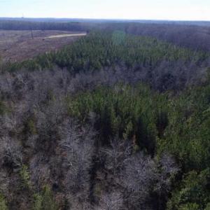 Photo of 65.92 Acres of Hunting and Recreational Land For Sale in Halifax County VA!