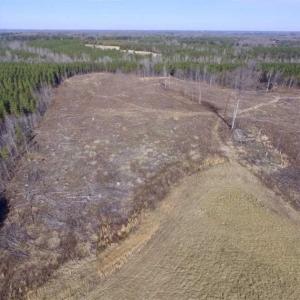 Photo of 65.92 Acres of Hunting and Recreational Land For Sale in Halifax County VA!